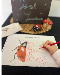 Görsel Tamamlama Çalışması