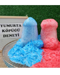 Fen ve Doğa Atölyesi