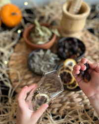 Mutfak Sanatları Atölyesi