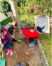 Kompost Çalışması