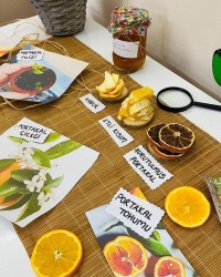 Mutfağımızın Kış Güneşi: Portakal