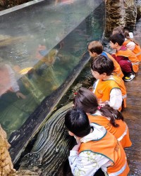 meraklı çocuklar :)