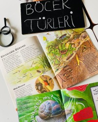 GEMS Böcek Türleri