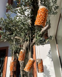 Sosyal Sorumluluk Projemiz Kuş Yemlikleri