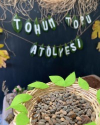 Tohum topu Atölesi
