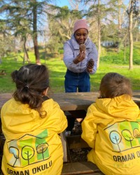 Yabancı Dil Eğitimi
