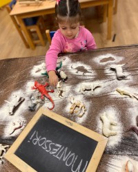 Gölge Çalışması :)