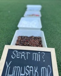 Sert mi? Yumuşak mı?