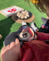 Ekoloji Etkinliği ''MANTAR''