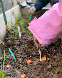 Ekoloji Çalışmamız