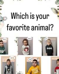 which your favorite animal?