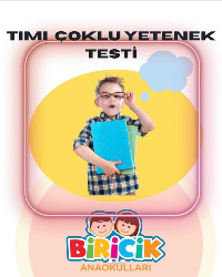 TIMI Çoklu Yetenek Testi