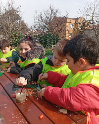 Doğa ve Fen Etkinliğimiz