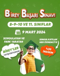 BİREY BAŞARI SINAVI