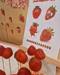 MAGNOLİA TATLISI :)