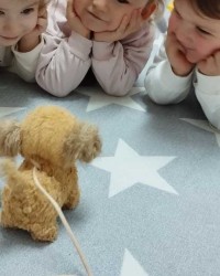 OKUL İÇİ ETKİNLİKLERİMİZ