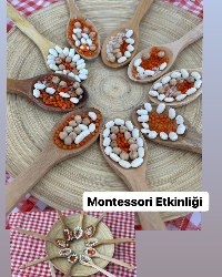 Montessori Etkinliği
