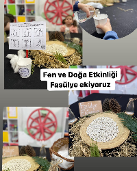 Fen ve Doğa Etkinliğimizde Fasulye Ekiyoruz