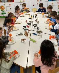 Hayvanları Tanıyoruz