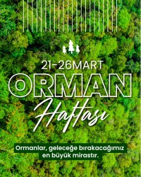 ORMAN HAFTASI
