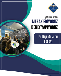 FİL DİŞİ MACUNU DENEYİ