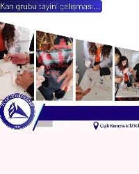 Kan Grubu Tayini Çalışması