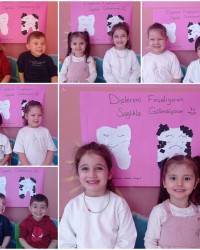 Diş SAĞLIĞI