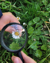 Doğayı İnceliyoruz