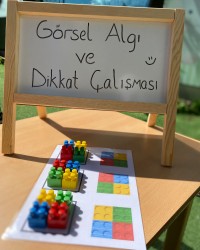 Görsel Algı ve Dikkat Çalışması