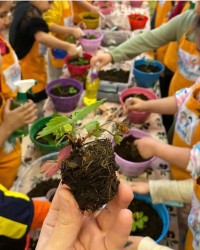 BOTANİK ATÖLYEMİZ