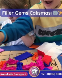 Filler Gems Çalışması