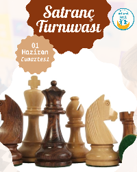 Satranç Turnuvası
