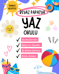 Yaz Okulu Programı