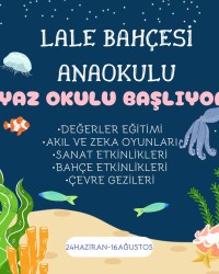 YAZ OKULU