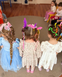 Çılgın Saç Partisi