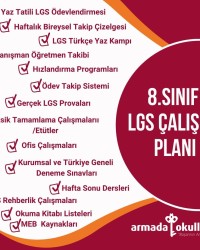 8.SINIF LGS ÇALIŞMA PLANI