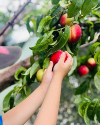 KAMPÜSTE DOĞAL YAŞAM