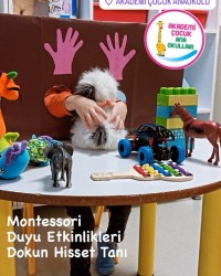 MONTESSORİ DUYU ETKİNLİKLERİ