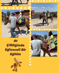 BİNİCİLİK ETKİNLİĞİ