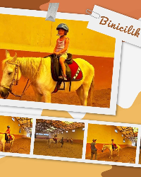 Binicilik