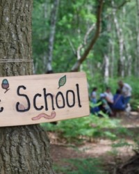 Duvarsız Okul - Yaz Okulu