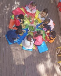 Günlük Yaşam Becerileri ( Bezelye Ayıklama )