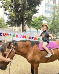 Binicilik Ve At Bakımı