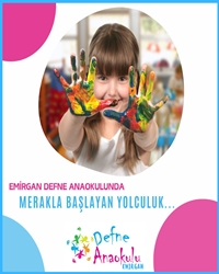 Merakla Başlayan Yolculuk