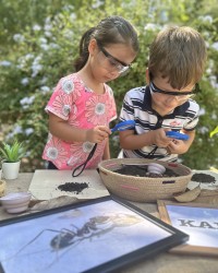 Toprakta Karınca Arıyoruz ;