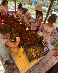 Çilek Bahçesi Gezisi