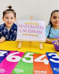 Matematik Çalışmaları