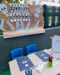 FEN VE DOĞA ETKİNLİĞİ