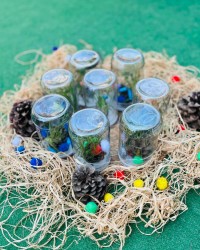 TERARYUM ÇALIŞMASI