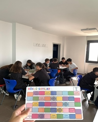 Köklü Sayılar Çalışması